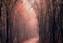 坚持160公里通勤，拒绝住宿训练基地，莱斯特城球员遭范尼封杀.