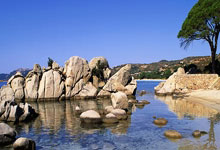 开云体育官网：[NBA]八村塁晃飞杜兰特 突破篮下灌筐得手.